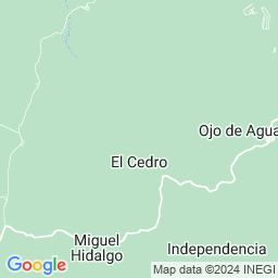 Bedel